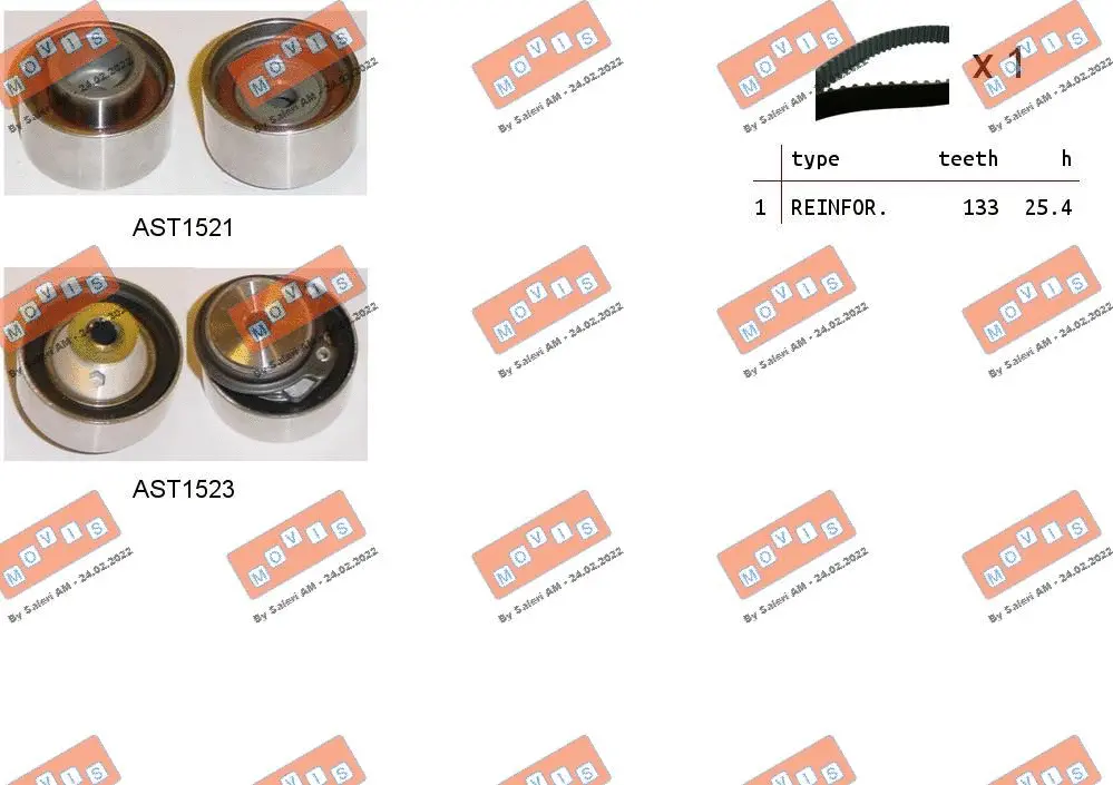 Timing Belt Kit (ASTK1209)