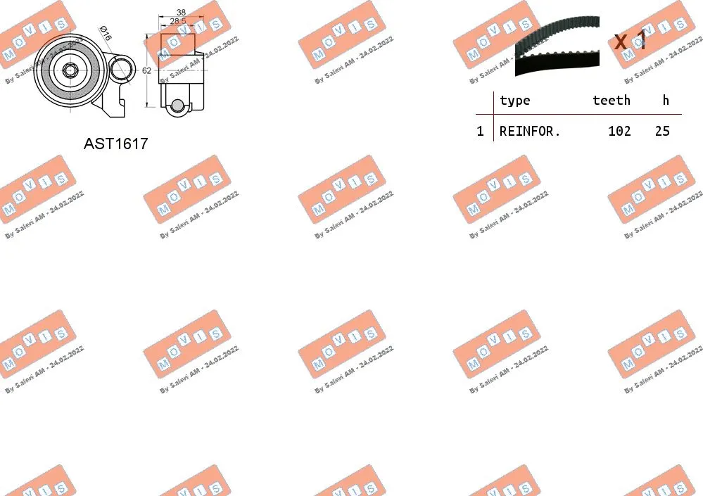 Timing Belt Kit