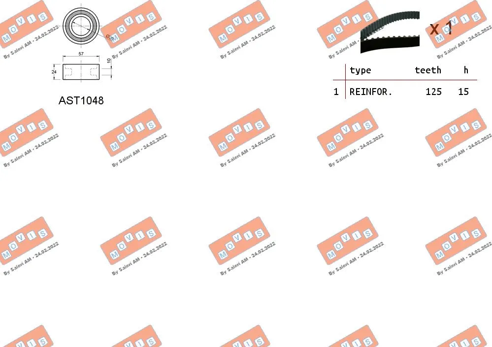 Timing Belt Kit