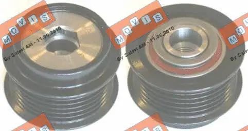 Alternator Freewheel Clutch (AST2989)