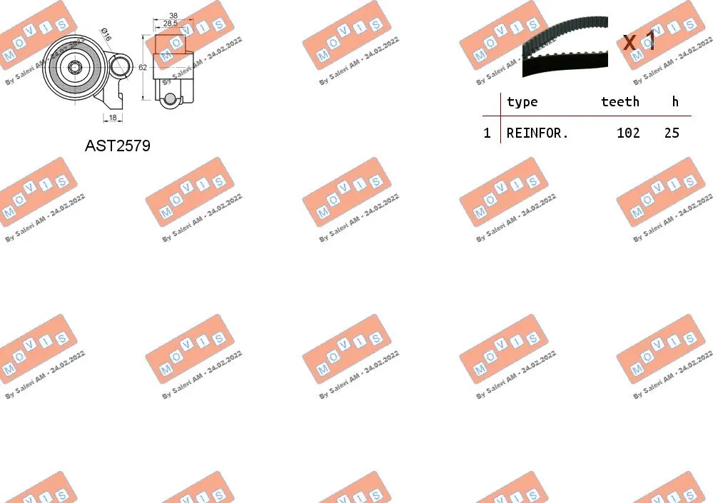 Timing Belt Kit