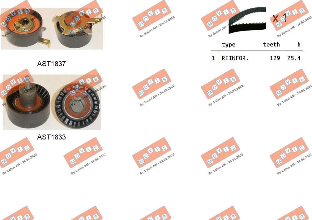 Timing Belt Kit (ASTK1031)