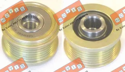 Alternator Freewheel Clutch (AST2905)