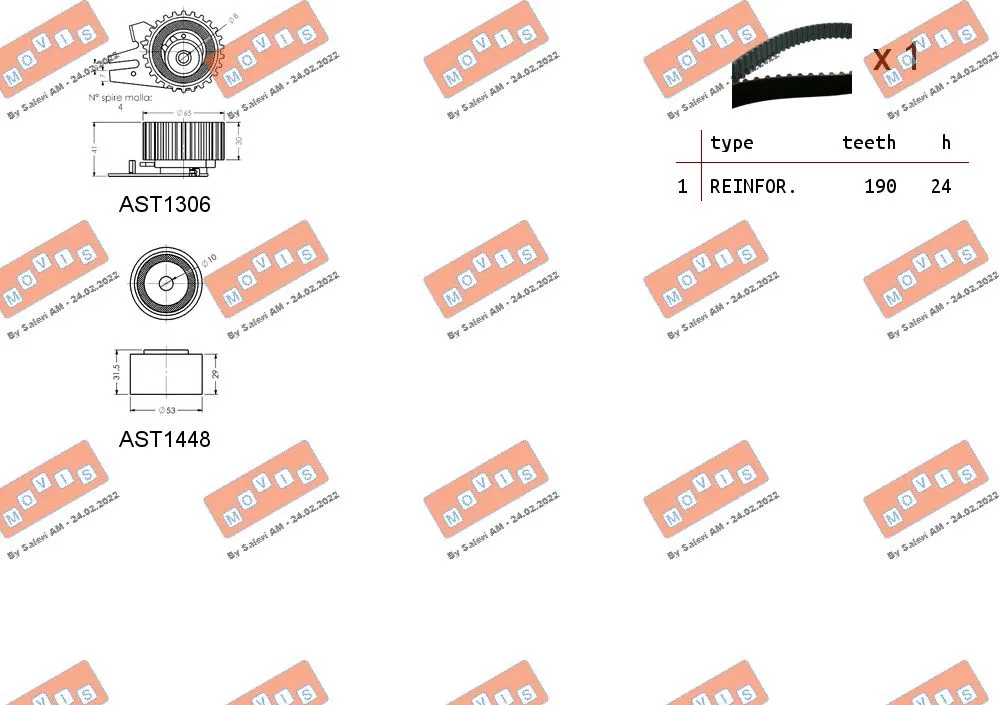 Timing Belt Kit