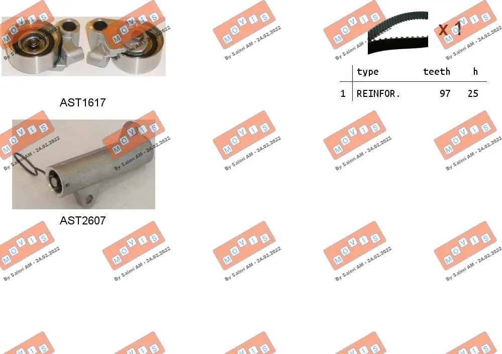 Timing Belt Kit (ASTK1066C)