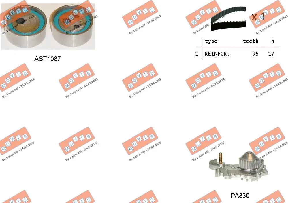 Water Pump & Timing Belt Kit (ASTK0840PA)