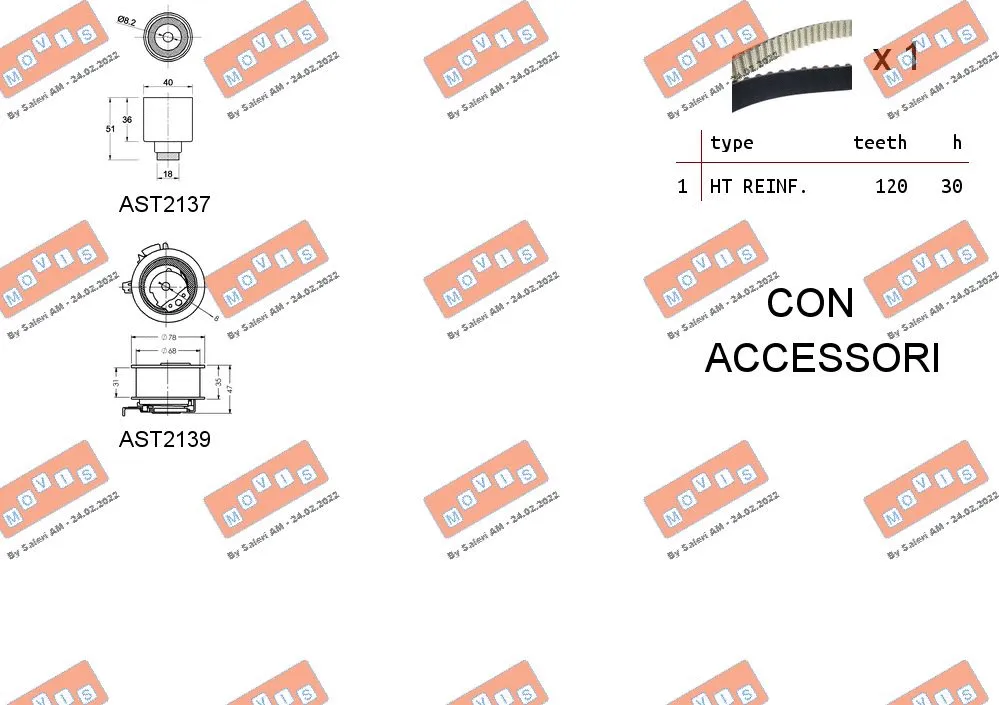 Timing Belt Kit