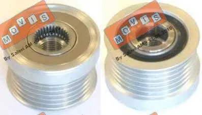 Alternator Freewheel Clutch (AST3193)