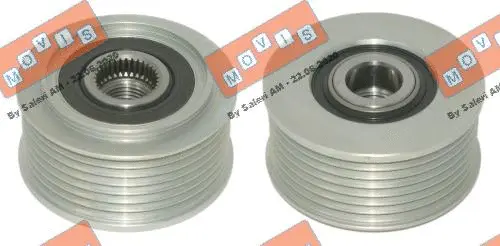 Alternator Freewheel Clutch (AST3826)