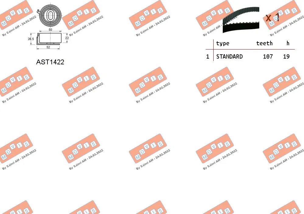 Timing Belt Kit