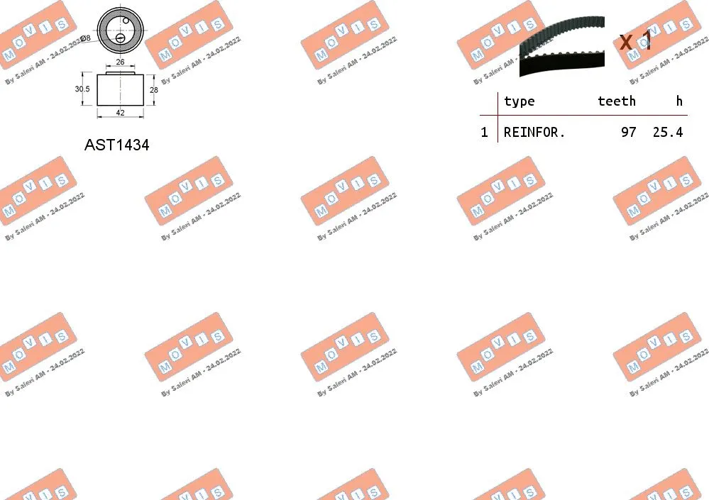 Timing Belt Kit