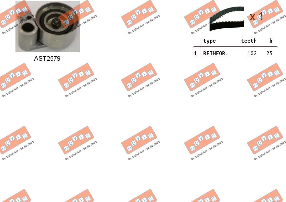Timing Belt Kit (ASTK1065)