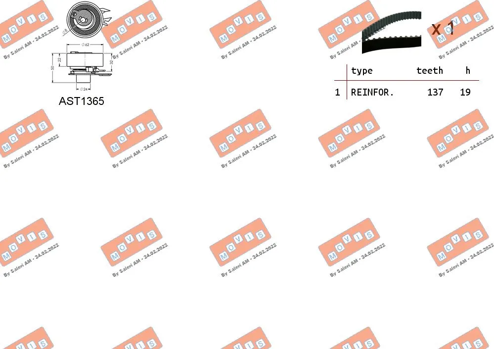 Timing Belt Kit