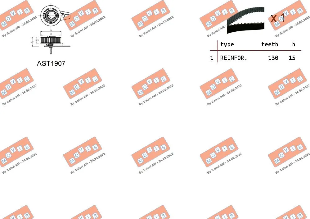 Timing Belt Kit