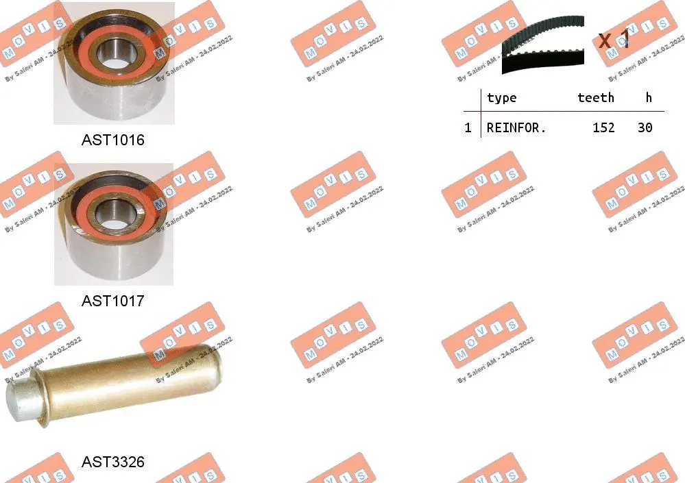 Timing Belt Kit (ASTK1182)