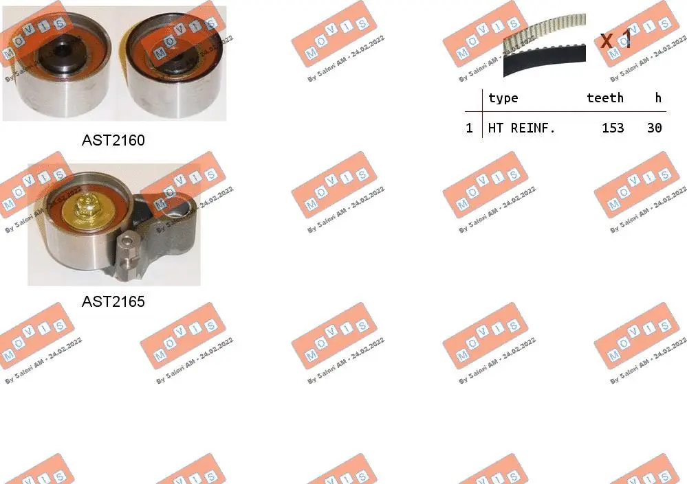 Timing Belt Kit (ASTK1081)