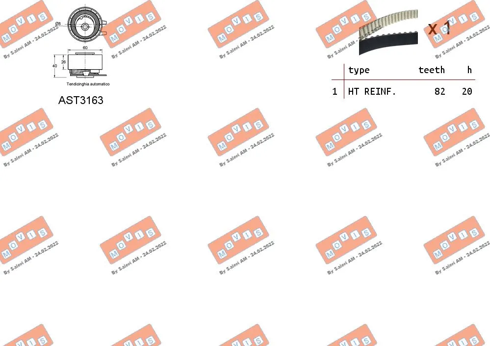 Timing Belt Kit