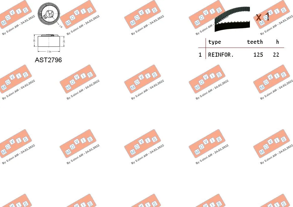 Timing Belt Kit