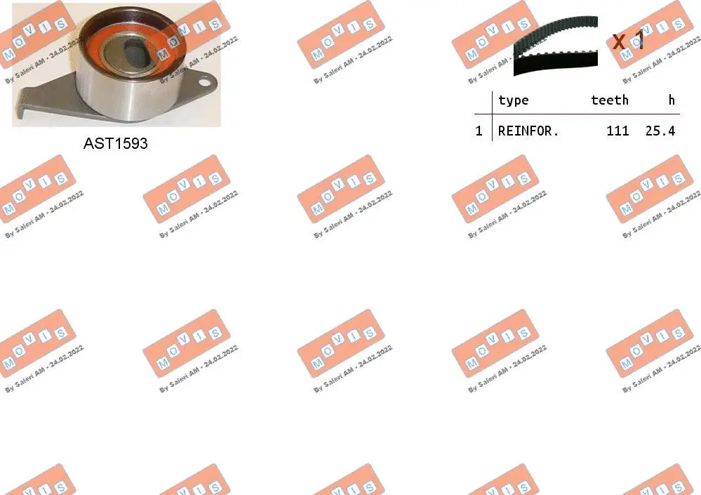 Timing Belt Kit (ASTK1189)