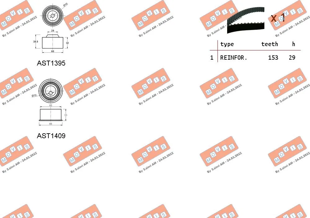 Timing Belt Kit