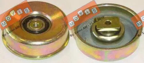 Deflection/Guide Pulley, V-ribbed belt (AST1748)