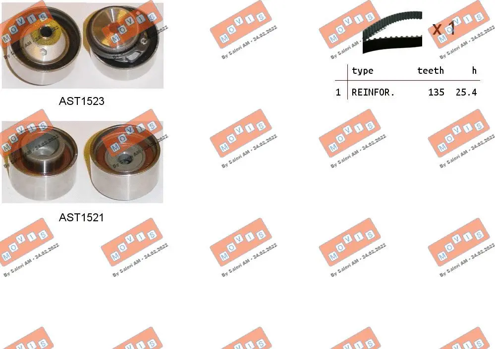 Timing Belt Kit (ASTK1142)