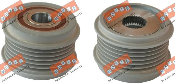 Alternator Freewheel Clutch (AST3566)