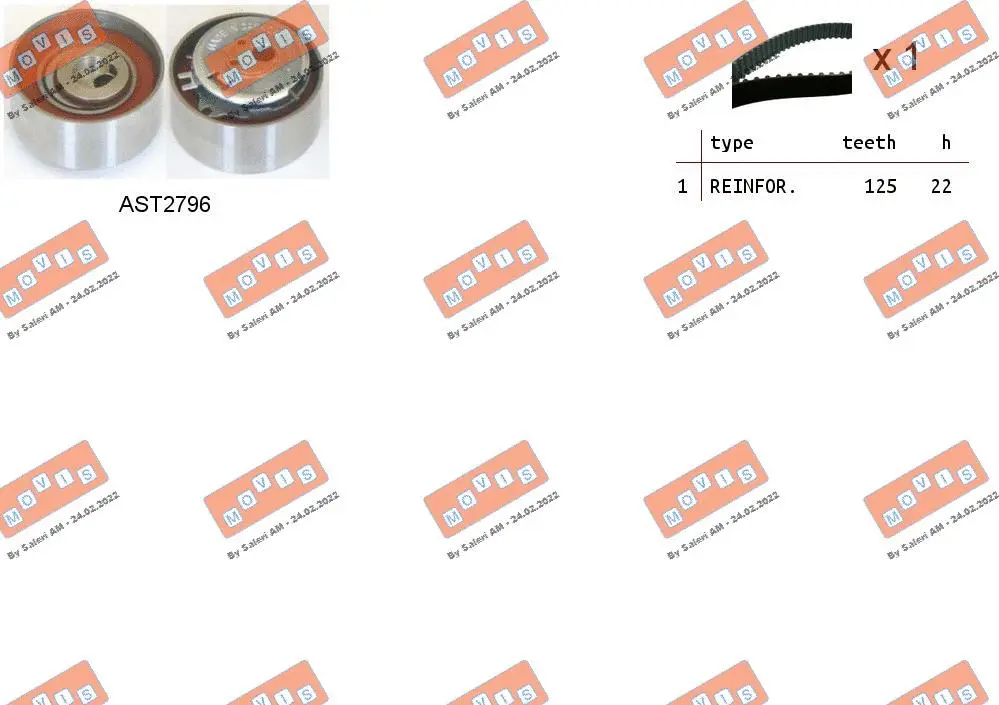 Timing Belt Kit (ASTK1063)