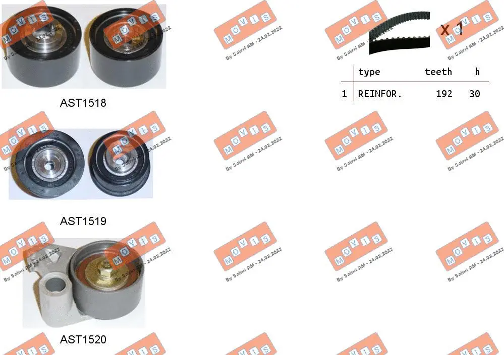 Timing Belt Kit (ASTK1262)