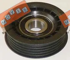 Deflection/Guide Pulley, V-ribbed belt (AST1900)