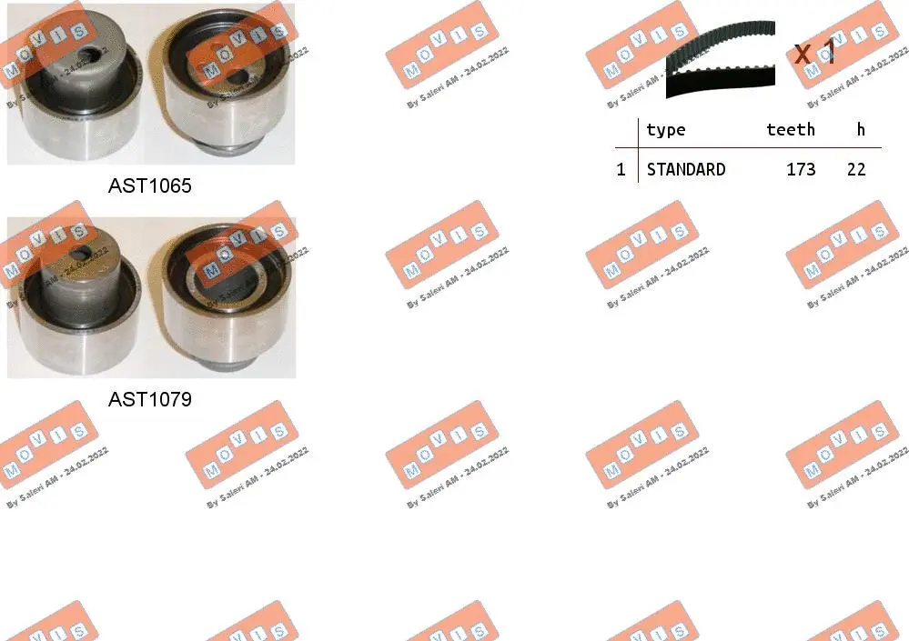 Timing Belt Kit (ASTK0817)