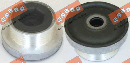 Alternator Freewheel Clutch (AST2719)