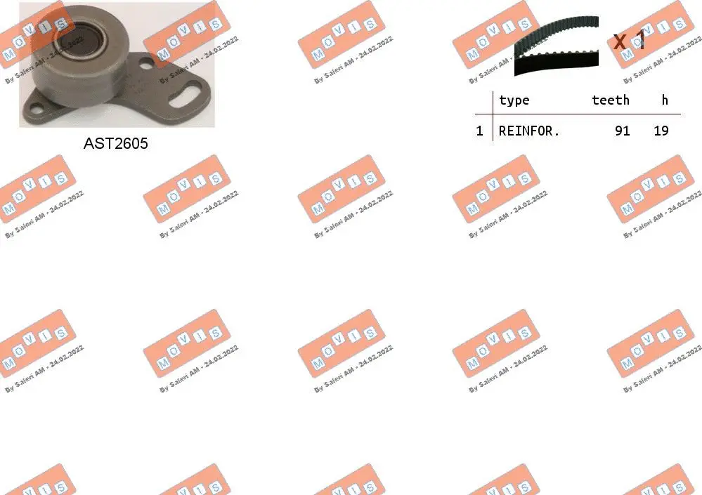 Timing Belt Kit (ASTK1250)