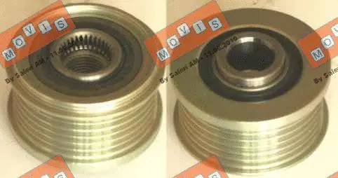 Alternator Freewheel Clutch (AST3105)