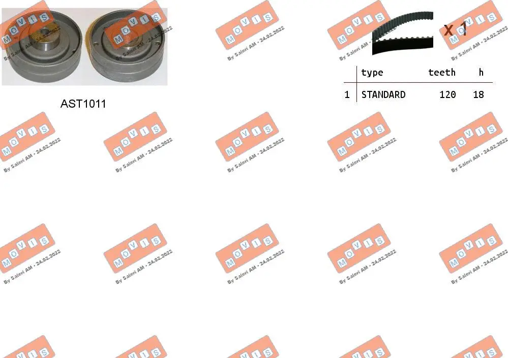 Timing Belt Kit (ASTK0963)