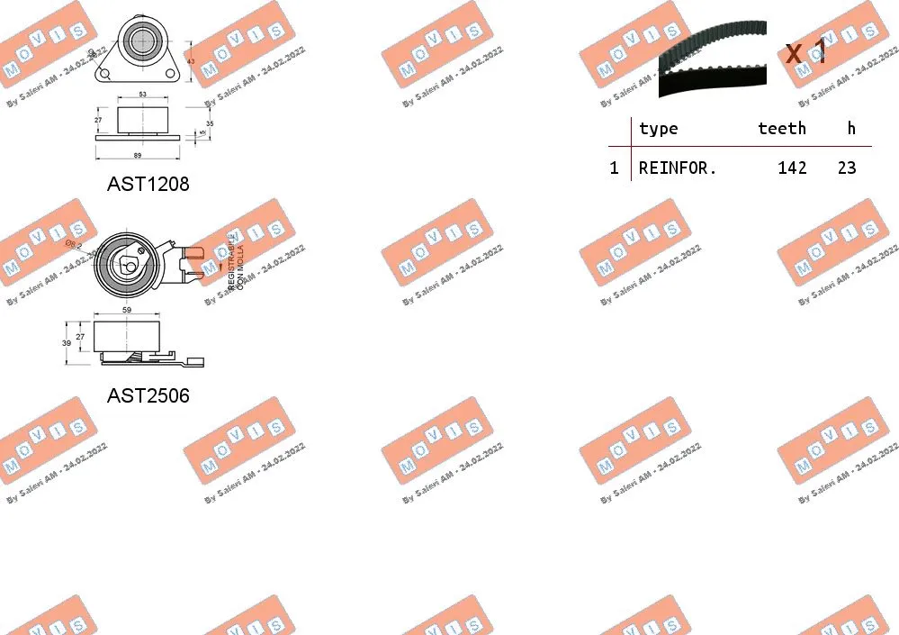 Timing Belt Kit