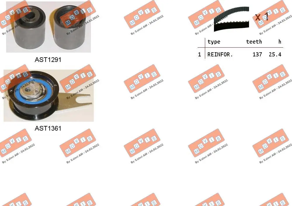 Timing Belt Kit (ASTK1032)