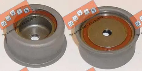 Deflection/Guide Pulley, timing belt (AST2229)