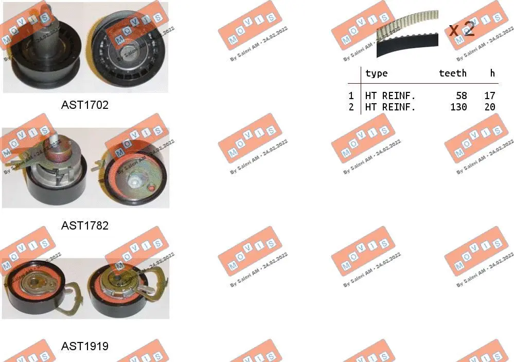 Timing Belt Kit (ASTK1171)