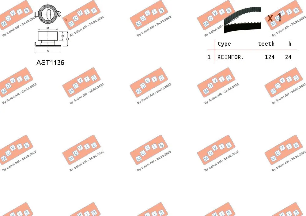 Timing Belt Kit