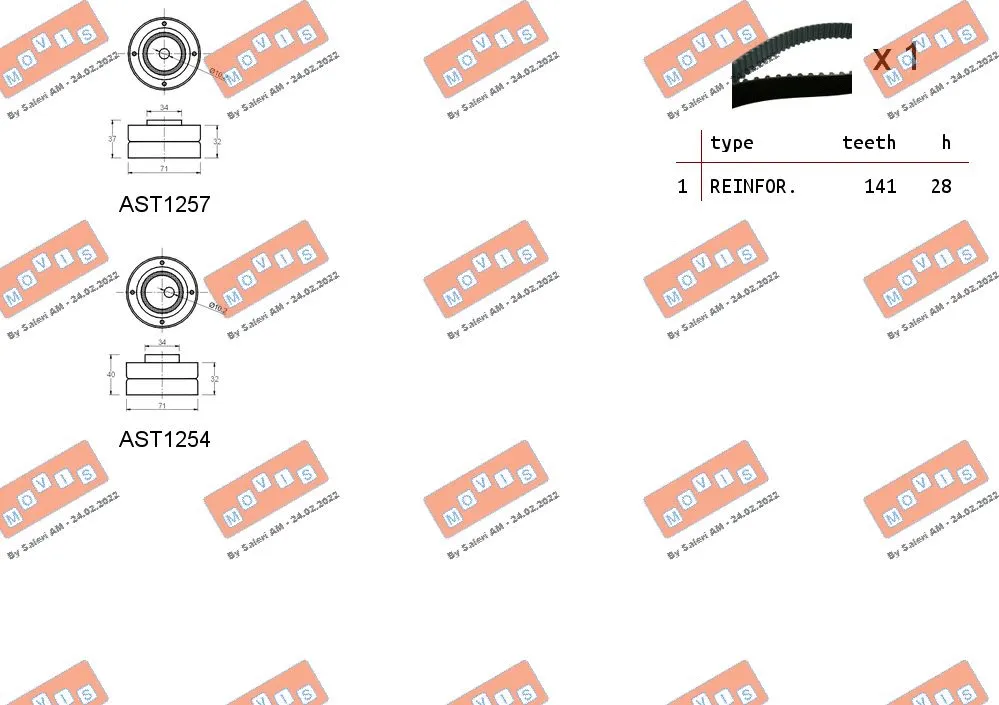 Timing Belt Kit