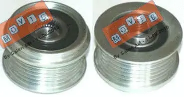 Alternator Freewheel Clutch (AST3151)