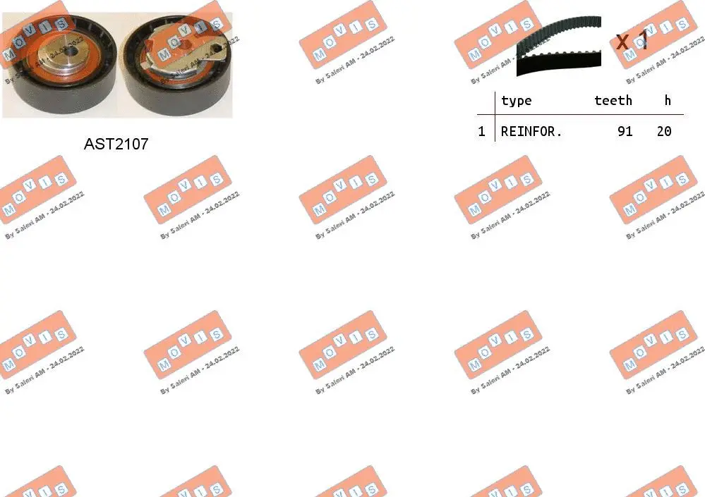 Timing Belt Kit (ASTK0862)