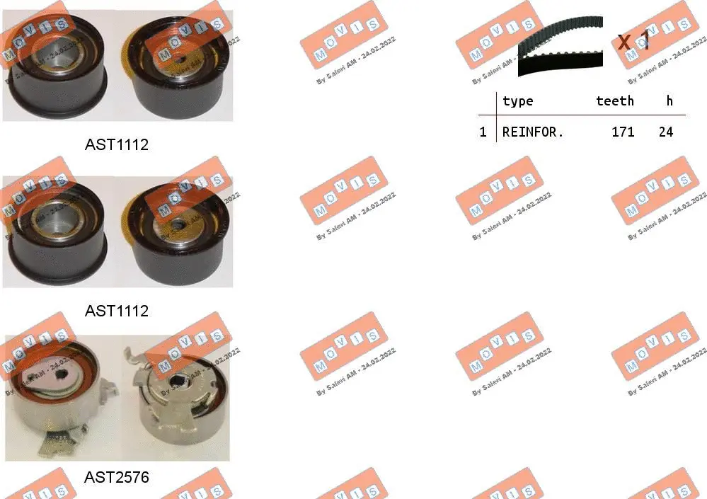 Timing Belt Kit (ASTK1101)