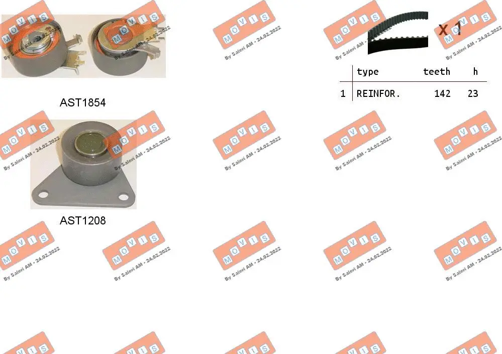 Timing Belt Kit (ASTK0913)