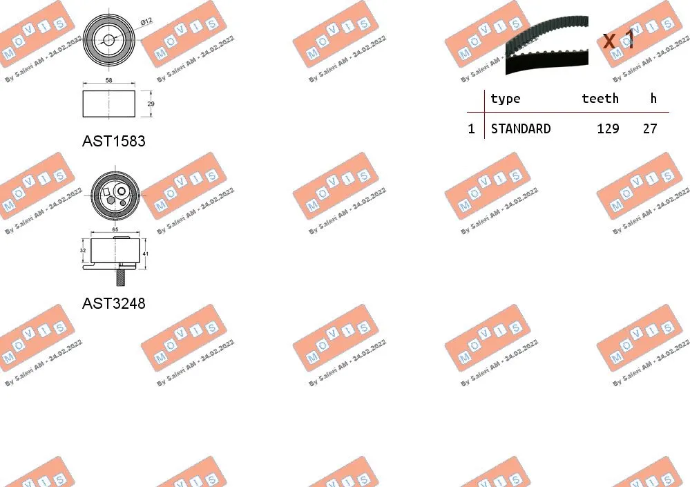 Timing Belt Kit