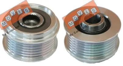 Alternator Freewheel Clutch (AST2117)