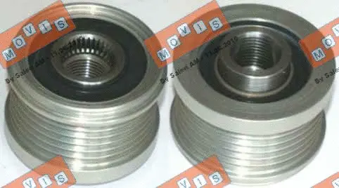 Alternator Freewheel Clutch (AST3142)