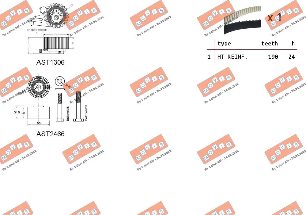 Timing Belt Kit