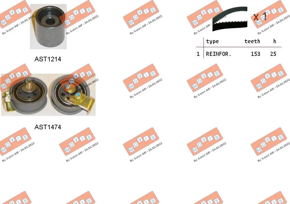 Timing Belt Kit (ASTK0910)